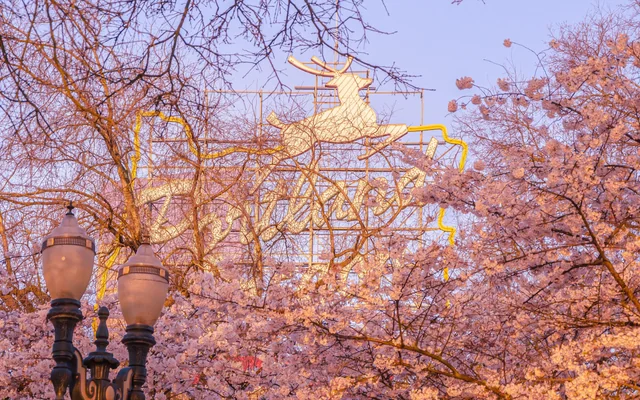 Bridges Middle School